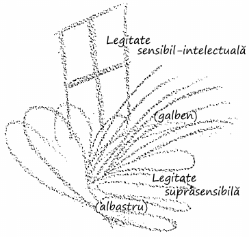desen 2